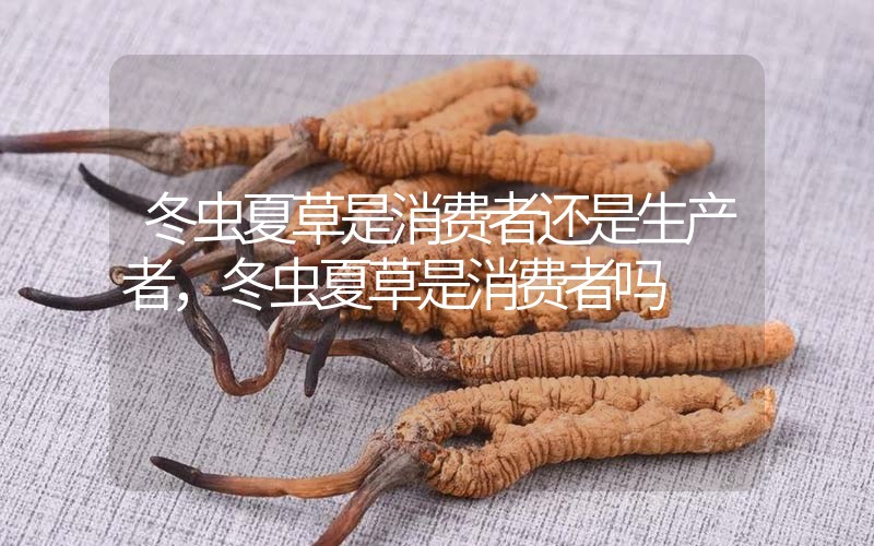 貧血吃冬蟲(chóng)夏草有效果嗎，貧血虛弱者可以用冬蟲(chóng)夏草嗎？