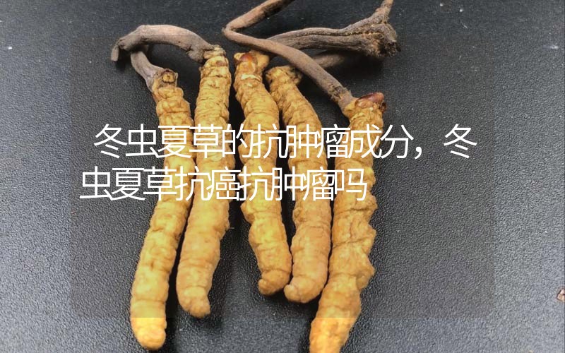 冬蟲(chóng)夏草的抗腫瘤成分，冬蟲(chóng)夏草抗癌抗腫瘤嗎？