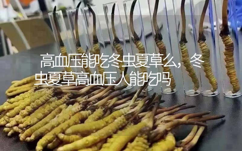 高血壓能吃冬蟲夏草么，冬蟲夏草高血壓人能吃嗎