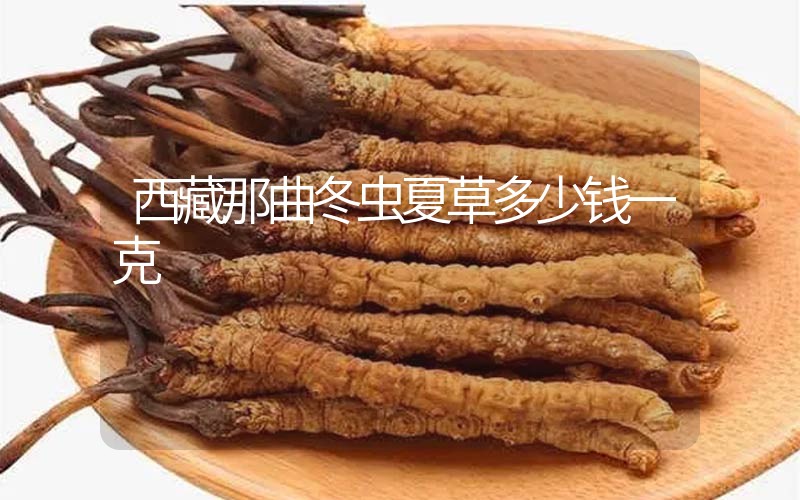 西藏那曲冬蟲(chóng)夏草多少錢(qián)一克？