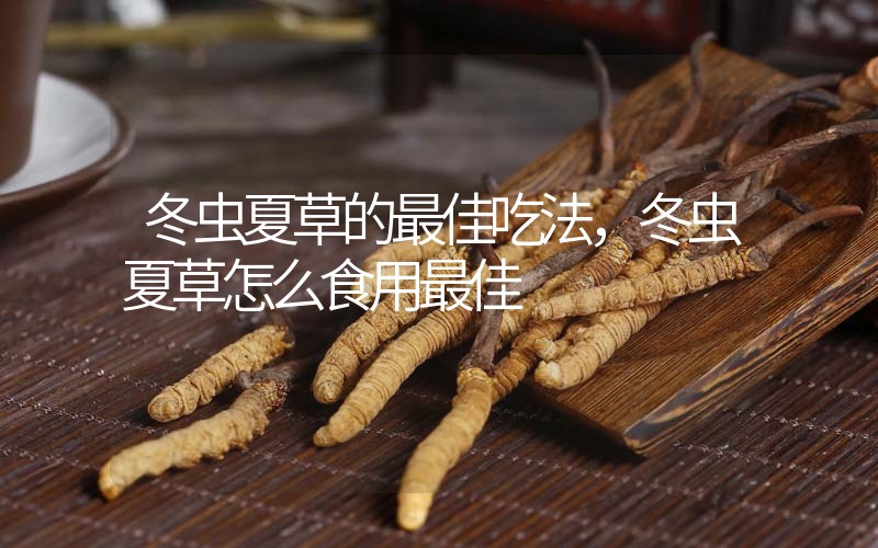 冬蟲(chóng)夏草的最佳吃法，冬蟲(chóng)夏草怎么食用最佳