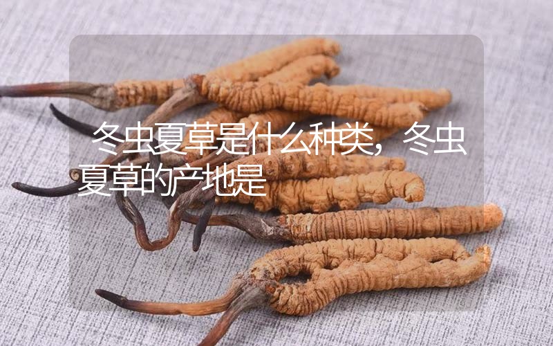 冬蟲夏草是什么種類，冬蟲夏草的產(chǎn)地是