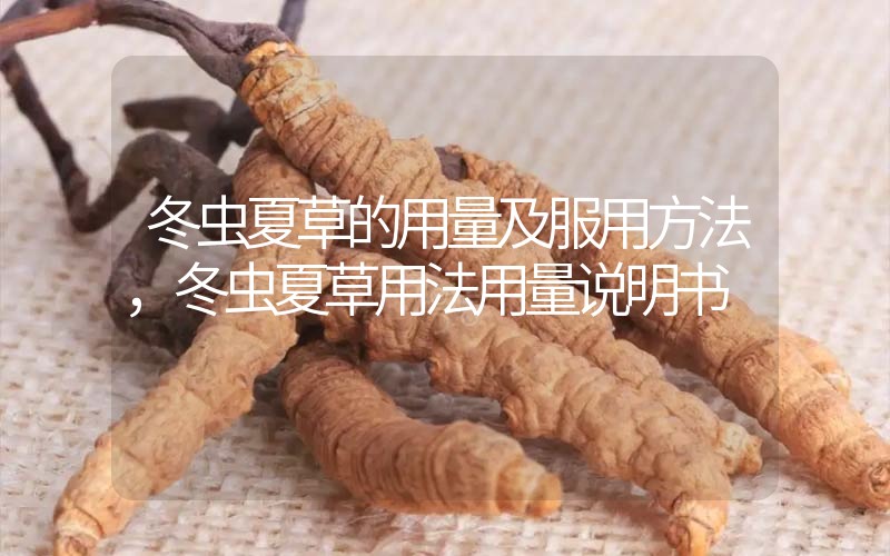 冬蟲夏草的用量及服用方法，冬蟲夏草用法用量