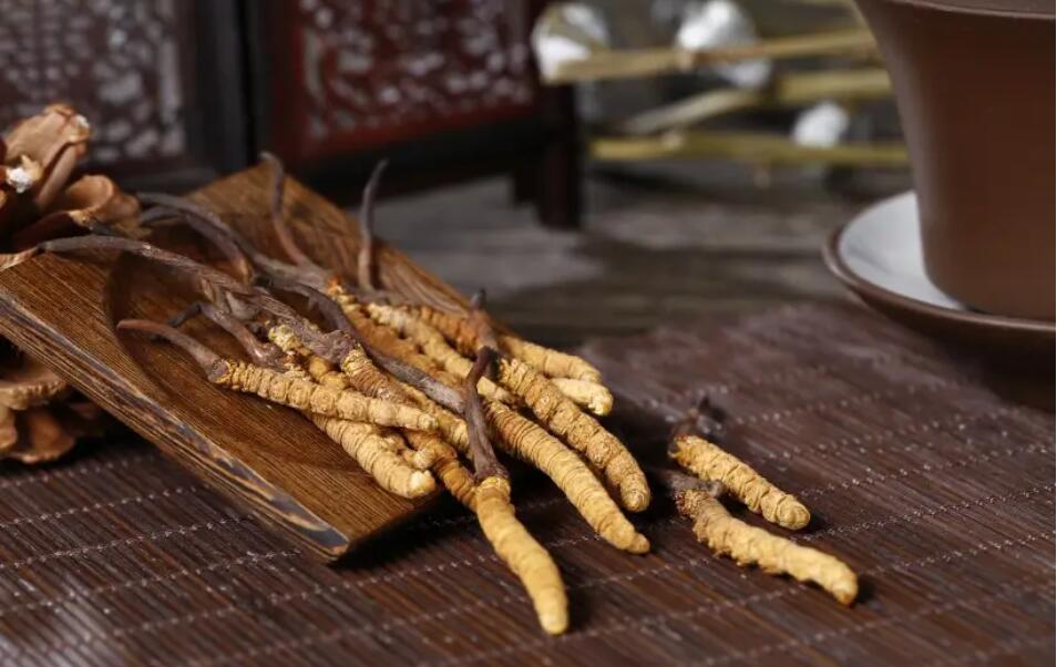 冬蟲夏草怎么選擇，冬蟲夏草選怎么樣的最好?