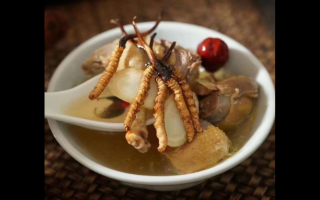 冬蟲(chóng)夏草貧血食譜