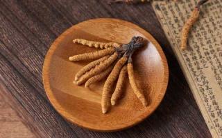 吃冬蟲夏草要注意的幾個(gè)點(diǎn)？