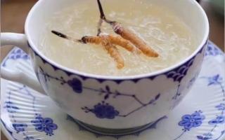 冬蟲夏草燉燕窩怎么做？