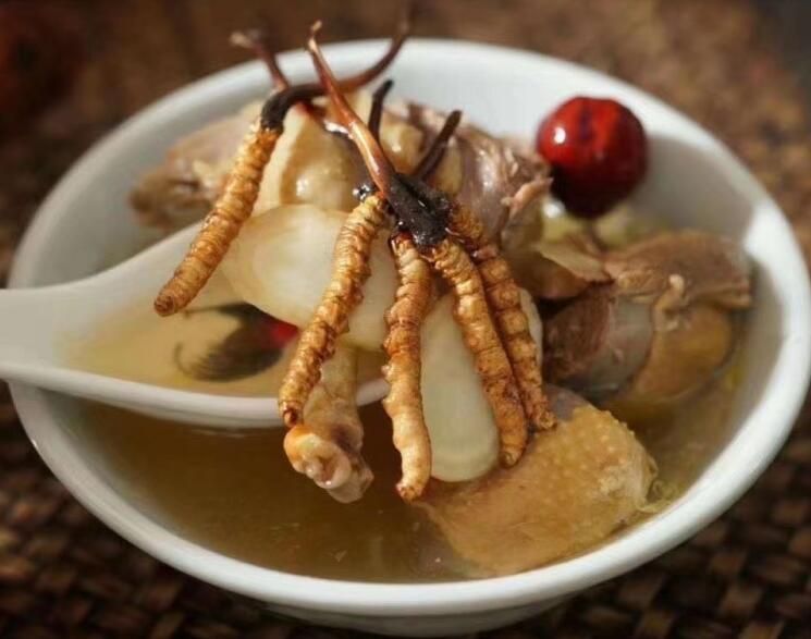 冬蟲夏草可以空腹吃嗎？