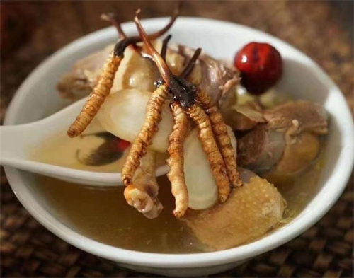 冬蟲(chóng)夏草用什么壺煮水？