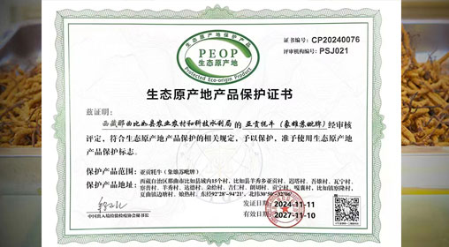 德耀娜秀 奮進(jìn)比如║熱烈祝賀！比如縣“亞貢牦?！比脒x農(nóng)業(yè)農(nóng)村部全國名特優(yōu)新農(nóng)產(chǎn)品名錄