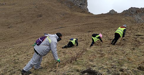 <a href=http://www.aikitbox.com/sdph/zf/ target=_blank class=infotextkey>珍峰冬蟲夏草</a>：源自世界屋脊的養(yǎng)生瑰寶