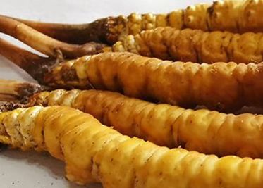 <a href=http://www.aikitbox.com/sdph/zf/ target=_blank class=infotextkey>珍峰冬蟲夏草</a>主要的銷售模式