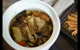 冬蟲(chóng)夏草怎么食用？解鎖滋補(bǔ)養(yǎng)生的正確打開(kāi)方式