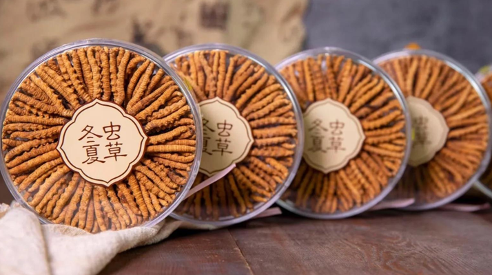 <a href=http://www.aikitbox.com/chanpin/ target=_blank class=infotextkey>冬蟲夏草一盒多少錢</a>？全方位剖析價(jià)格構(gòu)成