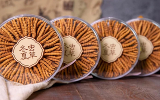 冬蟲夏草一盒多少錢？全方位剖析價(jià)格構(gòu)成