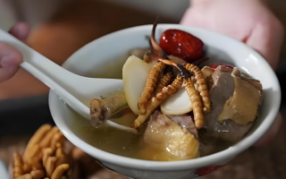 冬蟲(chóng)夏草搭配有道，滋養(yǎng)肺部效果妙