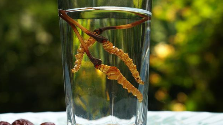 <a href=http://www.aikitbox.com/xinxian/ target=_blank class=infotextkey>鮮冬蟲夏草</a>怎么泡好吃？這些配方讓滋補更有滋味