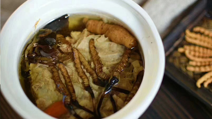 吃新鮮冬蟲夏草最佳吃法