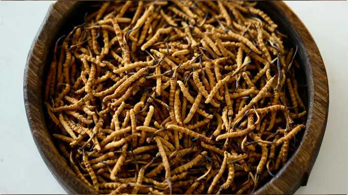 <a href=http://www.aikitbox.com/jiage/ target=_blank class=infotextkey>冬蟲夏草價(jià)格</a>探秘：多因素交織下的市場行情