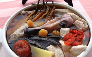 冬蟲夏草配什么煲湯好？營養(yǎng)美味的搭配指南