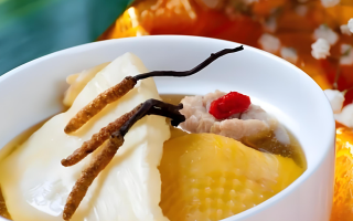 冬蟲夏草每天什么時候吃最好？一文詳解最佳食用時間