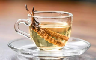 一杯蟲草水，健康新滋味：冬蟲夏草泡水喝的奇妙功效