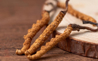 冬蟲(chóng)夏草現(xiàn)在多少錢一克