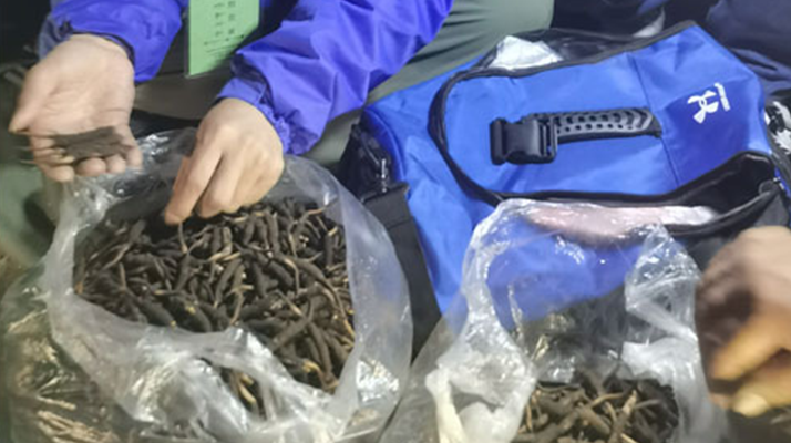 <a href=http://www.aikitbox.com/xinxian/ target=_blank class=infotextkey>新<a href=http://www.aikitbox.com/xinxian/ target=_blank class=infotextkey>鮮冬蟲夏草</a></a>的正確食用指南