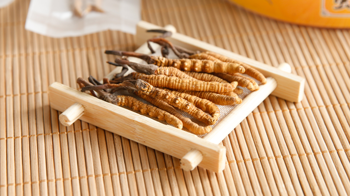 冬蟲(chóng)夏草一般多少錢(qián)一斤？?jī)r(jià)格背后的價(jià)值解析
