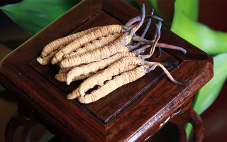 怎樣鑒別冬蟲(chóng)夏草的產(chǎn)地