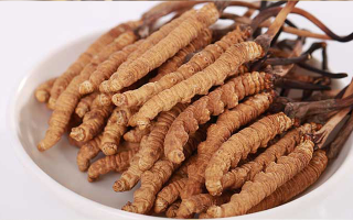 西藏特產(chǎn)冬蟲(chóng)夏草藏紅花