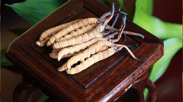 新鮮<a href=http://www.aikitbox.com/jiage/ target=_blank class=infotextkey>冬蟲夏草的價格</a>一根