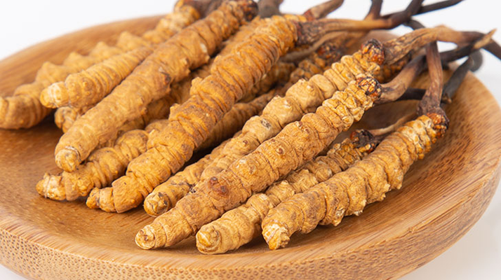 在西藏，冬蟲夏草真的觸手可得？