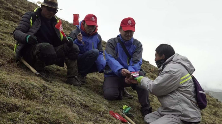 冬蟲夏草：把握最佳采摘季，守護(hù)自然饋贈(zèng)