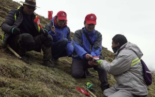 冬蟲夏草：把握最佳采摘季，守護(hù)自然饋贈(zèng)