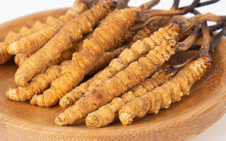 冬蟲(chóng)夏草，真有那么大效果？