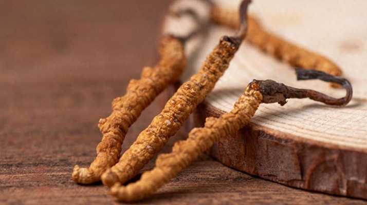 純野生<a href=http://www.aikitbox.com/jiage/ target=_blank class=infotextkey>冬蟲夏草價格</a>剖析：多因素交織下的價值體現(xiàn)