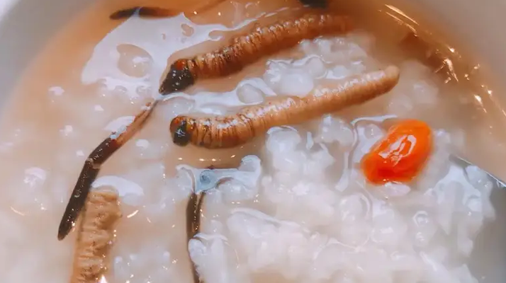 冬蟲夏草適合哪些人群？精準(zhǔn)匹配與禁忌提醒