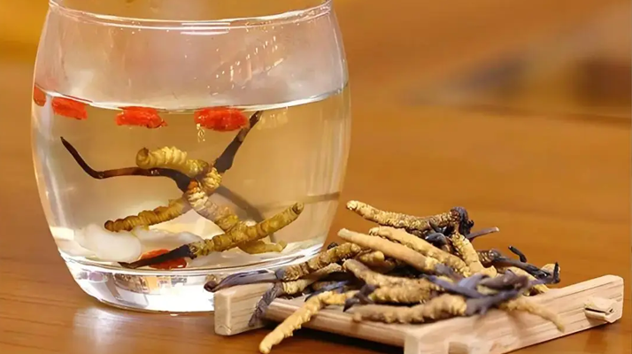 長(zhǎng)期喝冬蟲夏草泡水好嗎？科學(xué)分析與飲用指南