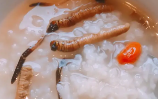 冬蟲夏草適合哪些人群？精準(zhǔn)匹配與禁忌提醒