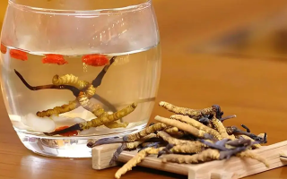 長期喝冬蟲夏草泡水好嗎？科學(xué)分析與飲用指南