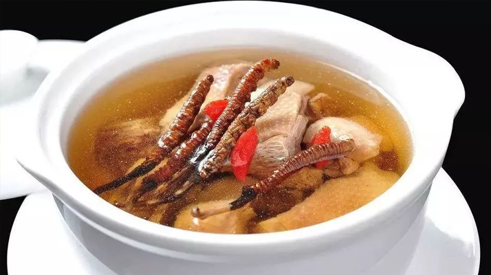 冬蟲夏草怎樣燉是最好的？掌握這幾步，營養(yǎng)不流失還美味
