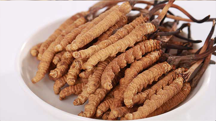 冬蟲夏草一公斤多少錢？多因素交織下的價(jià)格密碼