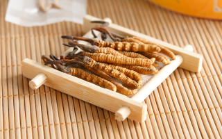 這些藥材形似冬蟲(chóng)夏草，辨別要點(diǎn)需牢記