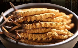 冬蟲夏草效果好不好用？科學(xué)與實(shí)踐視角下的全面解析