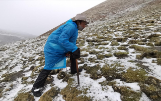 西藏挖冬蟲夏草在什么時候？產(chǎn)區(qū)與時間全攻略