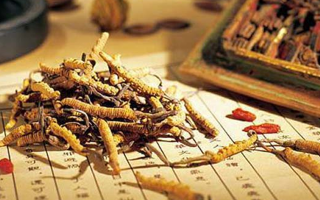 鮮冬蟲夏草怎么保存？分周期保存方法與避坑指南