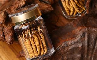 鮮冬蟲夏草泡水后怎么保存？3 種場(chǎng)景保存方法 + 避坑指南