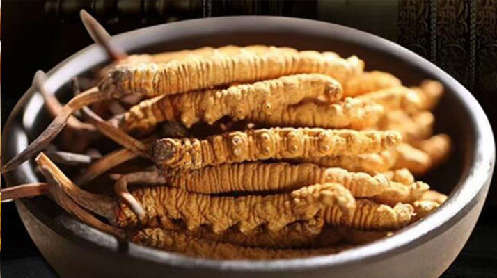 冬蟲夏草掰開后什么樣 