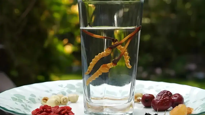 人參配蟲草泡酒，泡多久才好喝 